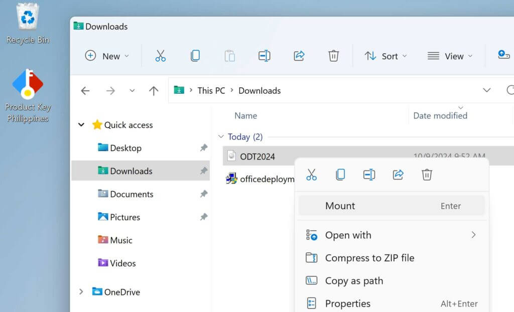 microsoft office ltsc professional plus 2024 2021 2019 enterprise install product key philippines install help guide