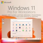 Windows 11 Pro for Workstations Lifetime Retail License Image