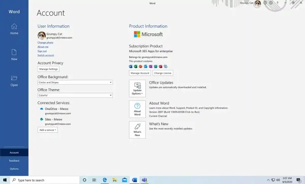 Microsoft 365 License activation proof shown in the account section of the Word desktop app.