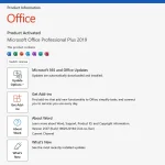 Office Professional Plus 2019 license in-app activation proof, showing the 'Product Activated' status.