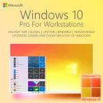Windows 10 Pro for Workstations license for sale in the Philippines.